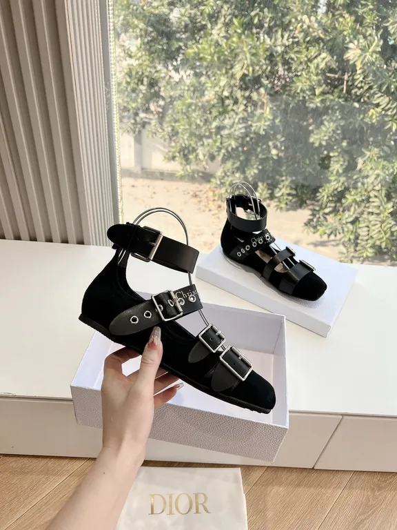 Dior Shoe 